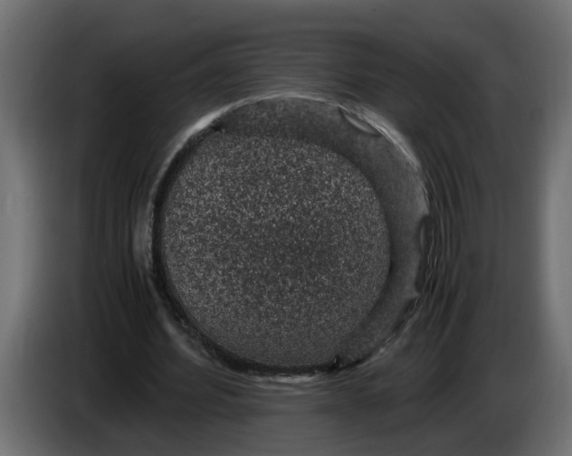 X0000083580580200703021818