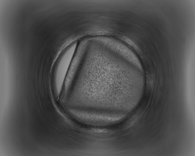 X0000083580582200703021818