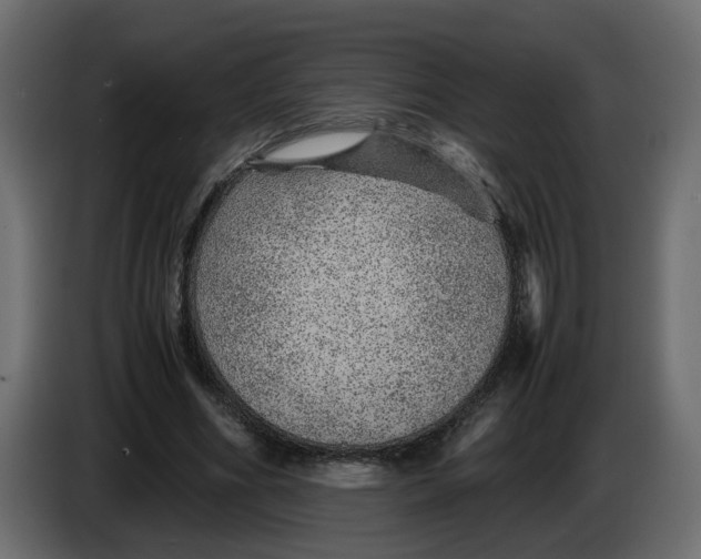 X0000083580586200703021818