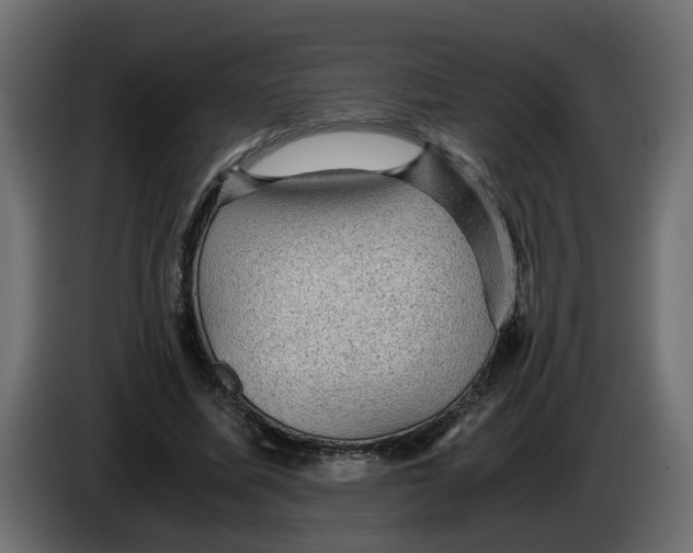 X0000083580587200703021818