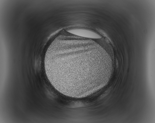 X0000083580588200703021818