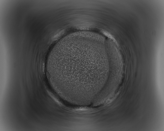 X0000083580589200703021818