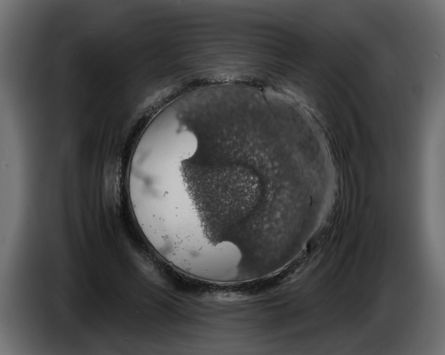 X0000083580590200703021818