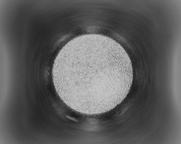 X0000083580592200703021818