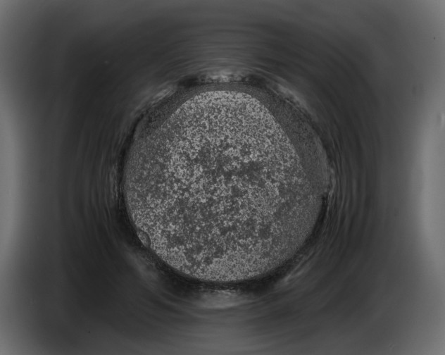 X0000083580594200703021818