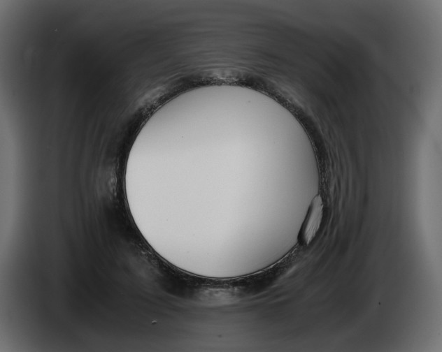 X0000083580595200703021818