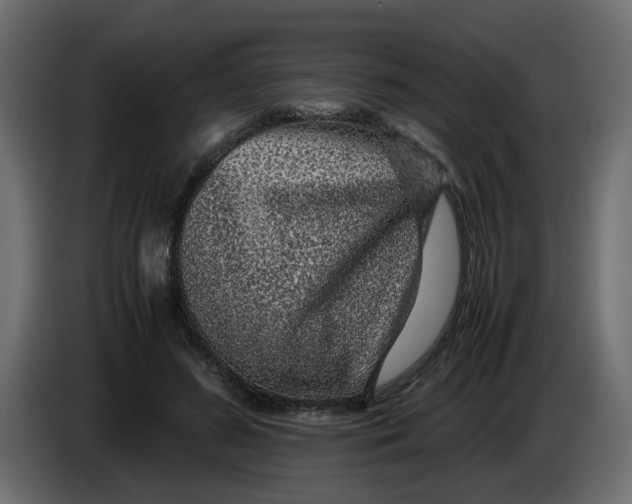 X0000083580596200703021818