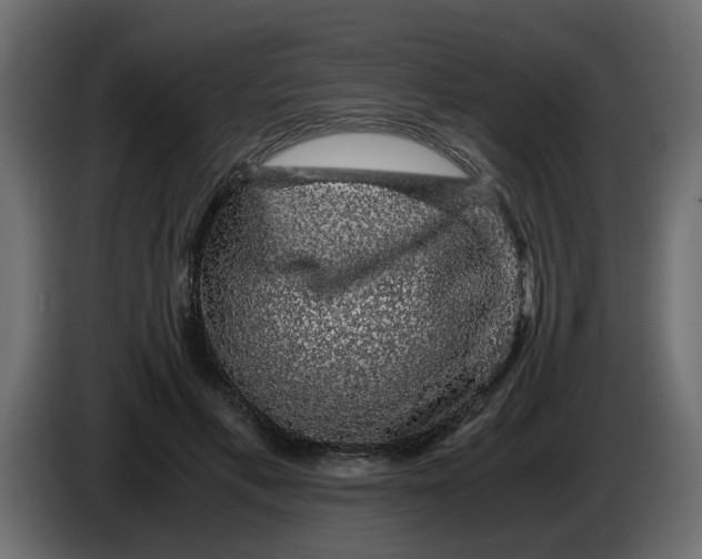 X0000083580597200703021818