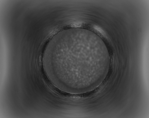 X0000083580598200703021818