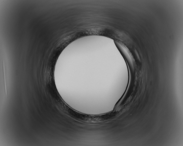 X0000083580599200703021818