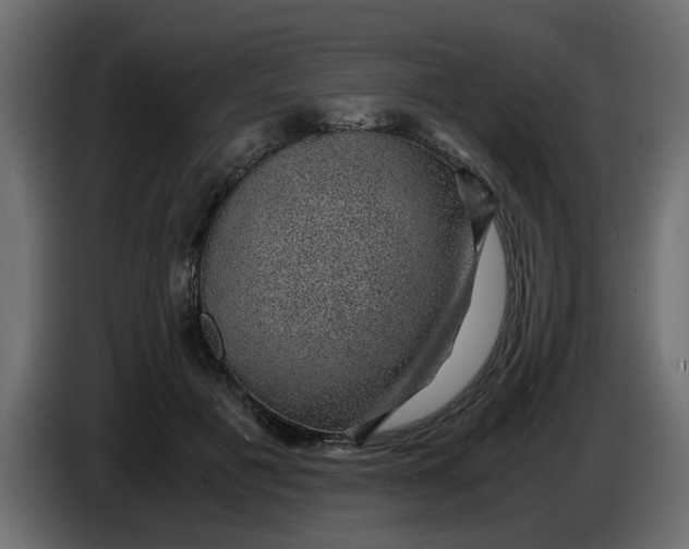 X0000083580601200703021818