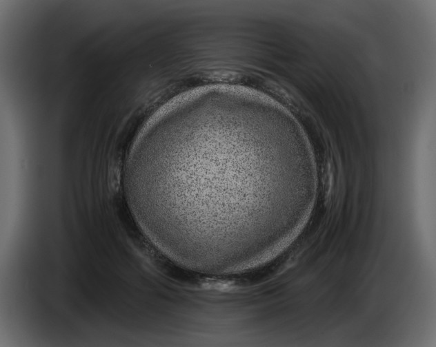 X0000083580602200703021817