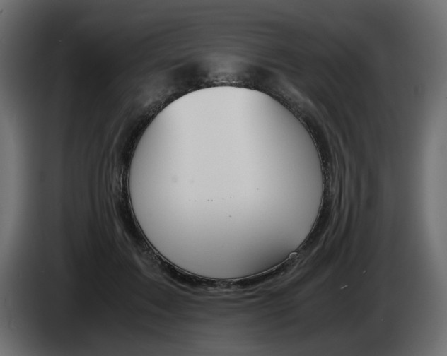 X0000083580603200703021817