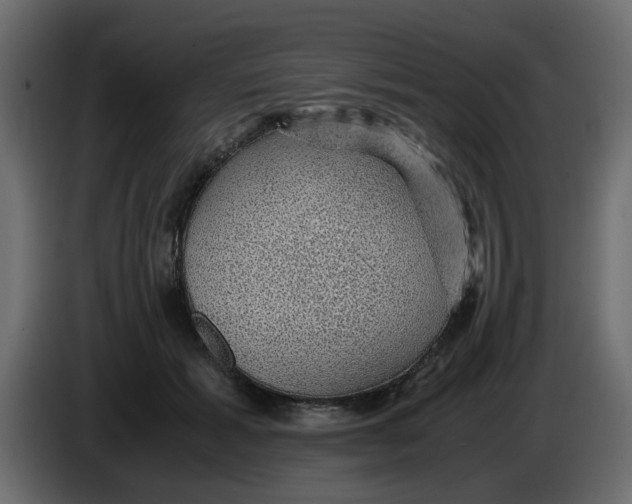 X0000083580605200703021817