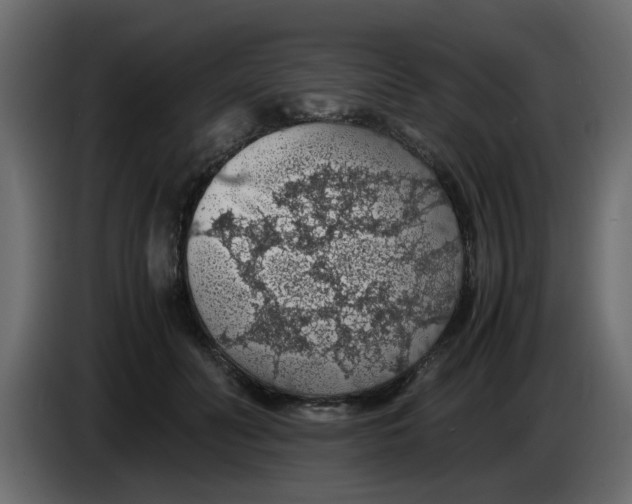 X0000083580606200703021817