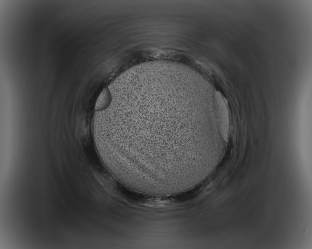 X0000083580607200703021817