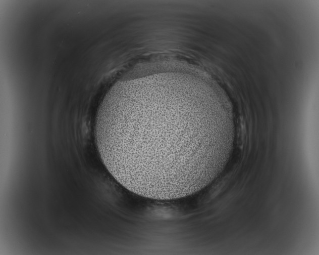 X0000083580608200703021817