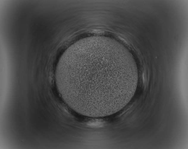 X0000083580609200703021817