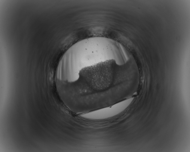 X0000083580610200703021817