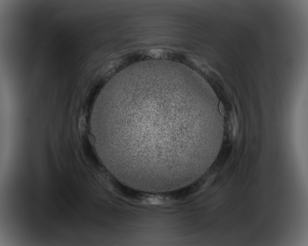 X0000083580611200703021817