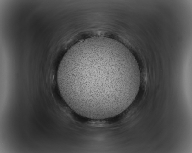 X0000083580615200703021817