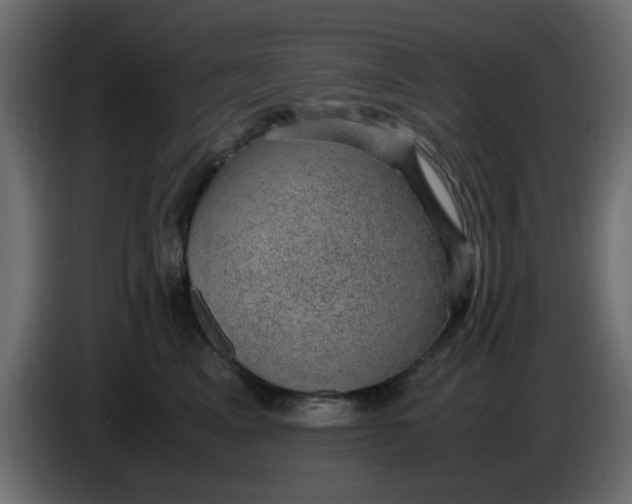 X0000083580617200703021817