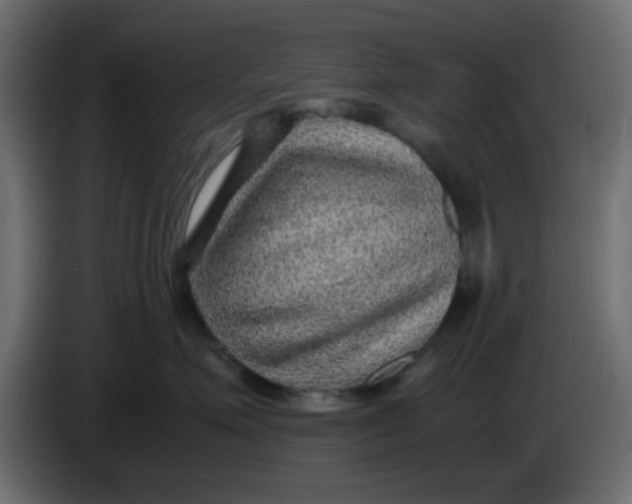 X0000083580623200703021817