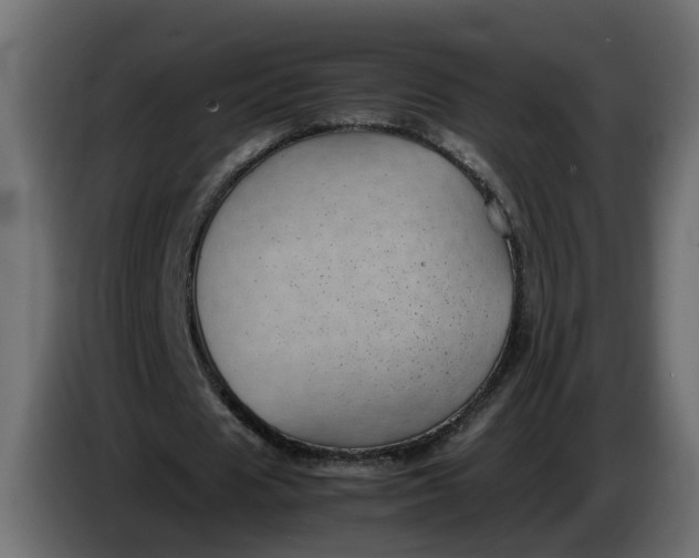 X0000083580625200703021816