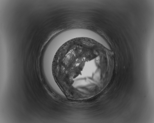 X0000083580626200703021816