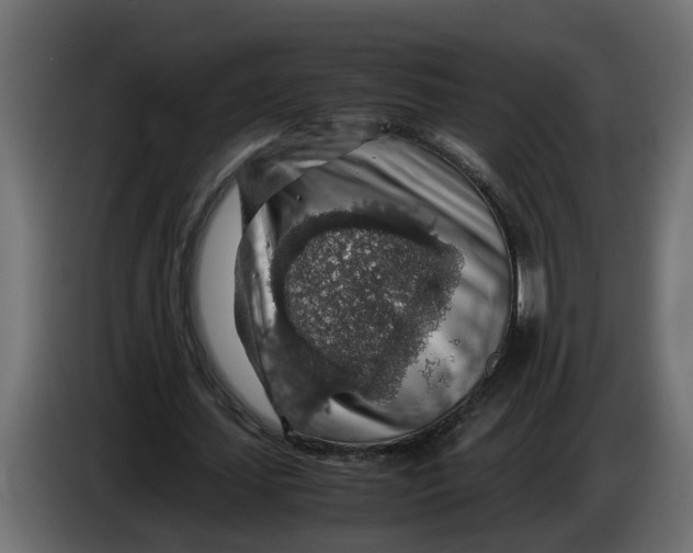 X0000083580627200703021816