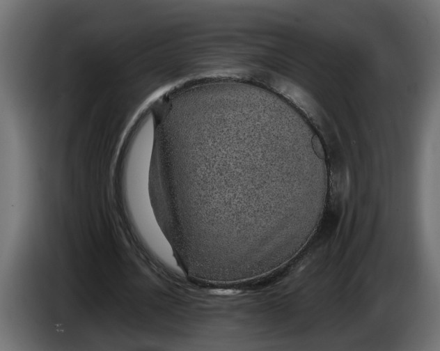 X0000083580628200703021816