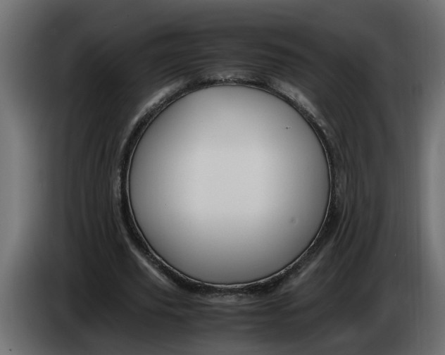 X0000083580629200703021816