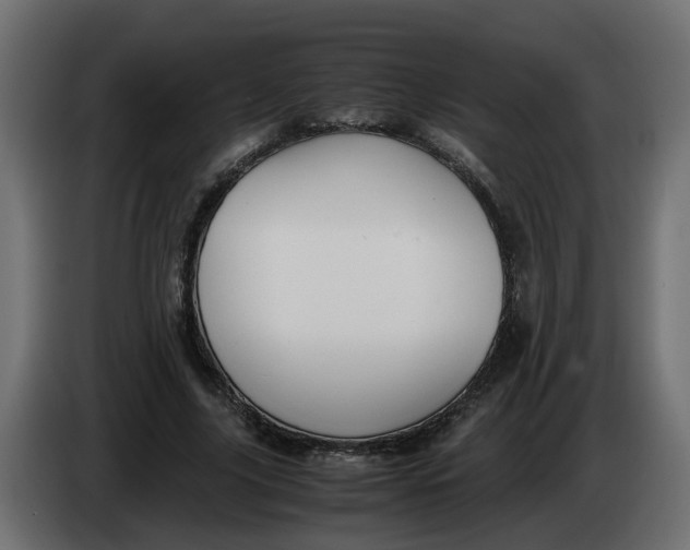 X0000083580635200703021816