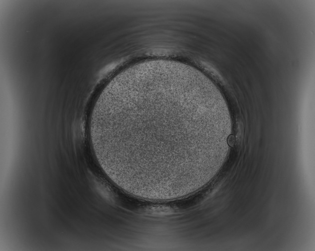 X0000083580636200703021816