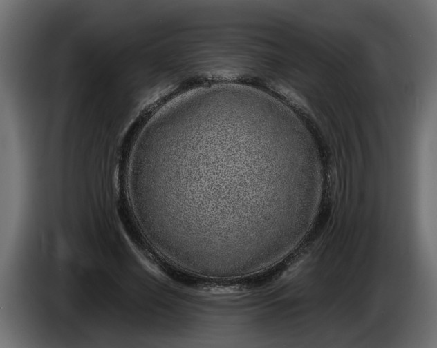 X0000083580638200703021816