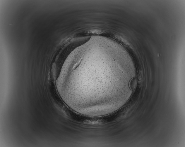 X0000083580639200703021816