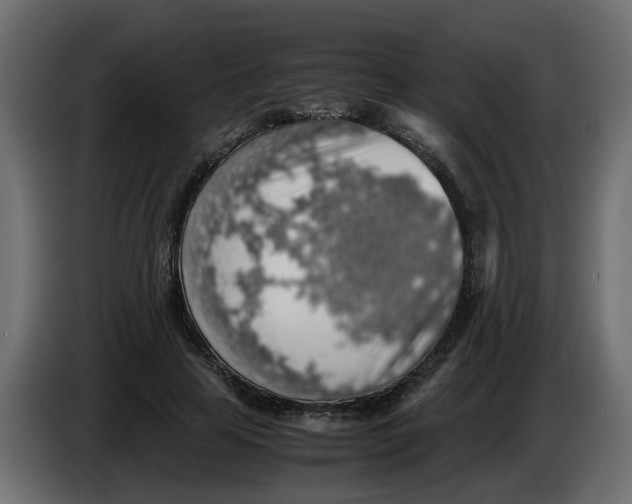 X0000083580641200703021817