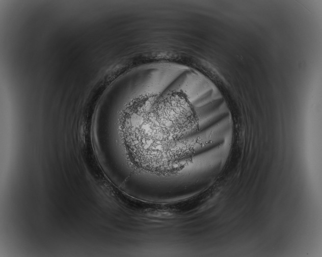 X0000083580643200703021817