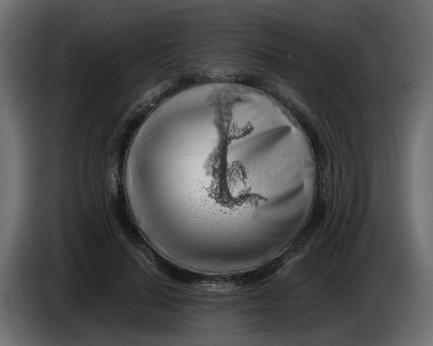 X0000083580644200703021817