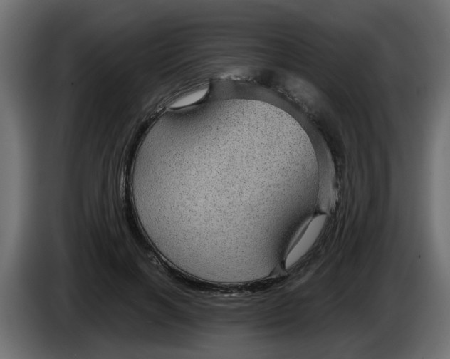 X0000083580646200703021817