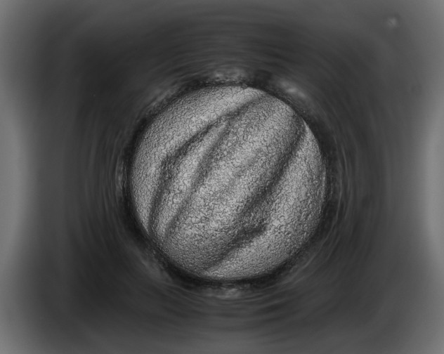 X0000083580647200703021817