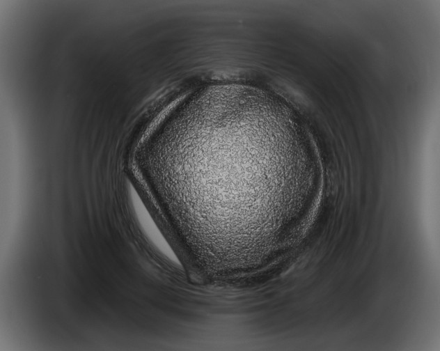 X0000083580648200703021817