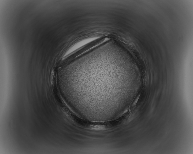 X0000083580649200703021817