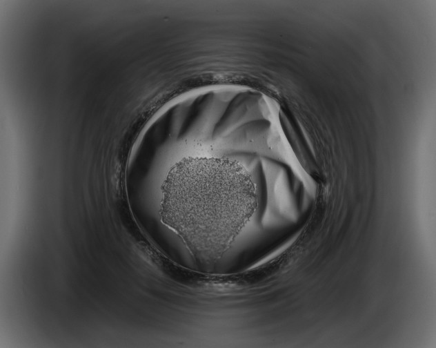 X0000083580650200703021817