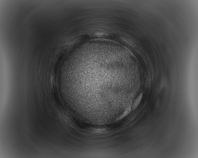 X0000083580651200703021817