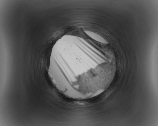 X0000083580654200703021817