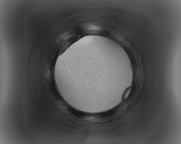 X0000083580655200703021817