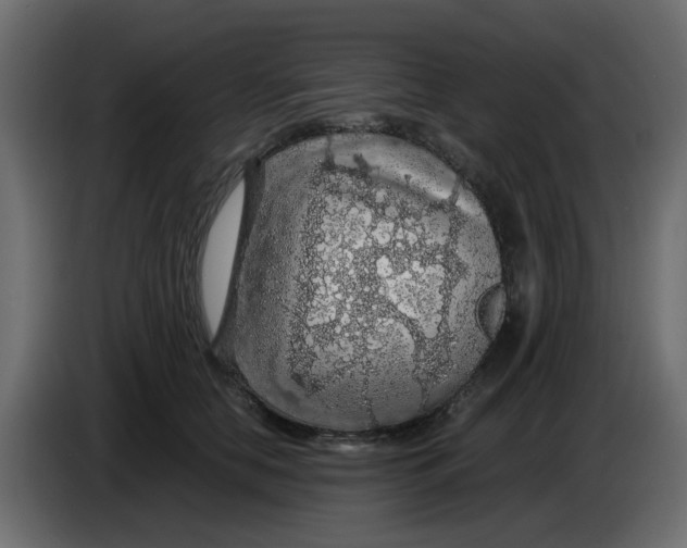 X0000083580658200703021817