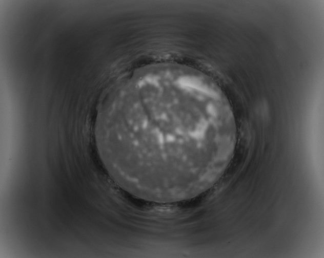 X0000083580659200703021817