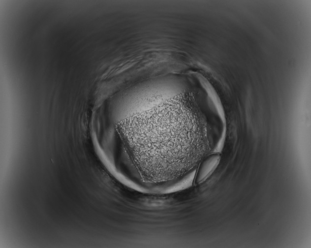 X0000083580661200703021817